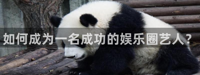 华润娱乐官方网站入口