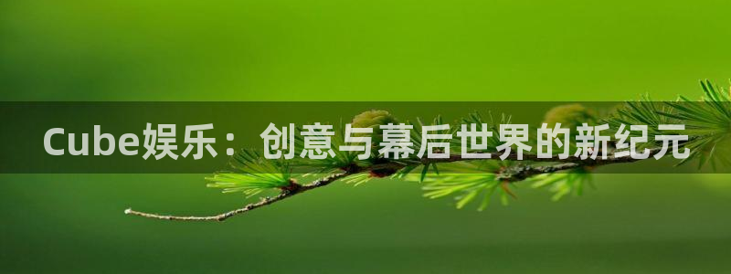 华润娱乐官方网站入口