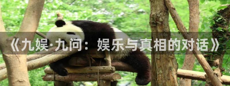华润娱乐官方网站入口